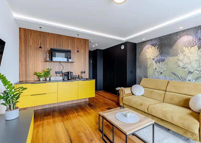 Odra View Apartment *